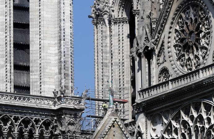 Bees survive Notre Dame Cathedral