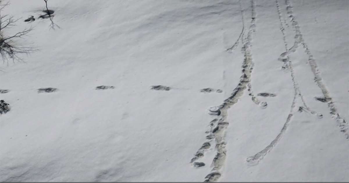 Indian Army claims Yeti footprints – the mythical Himalayan monster